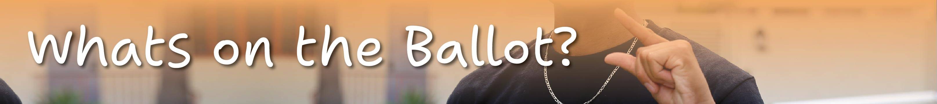 whats on the ballot